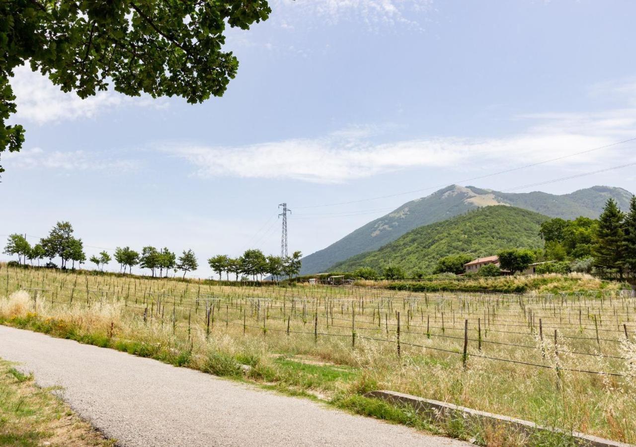 Agriturismo La Vammora Laviano Luaran gambar