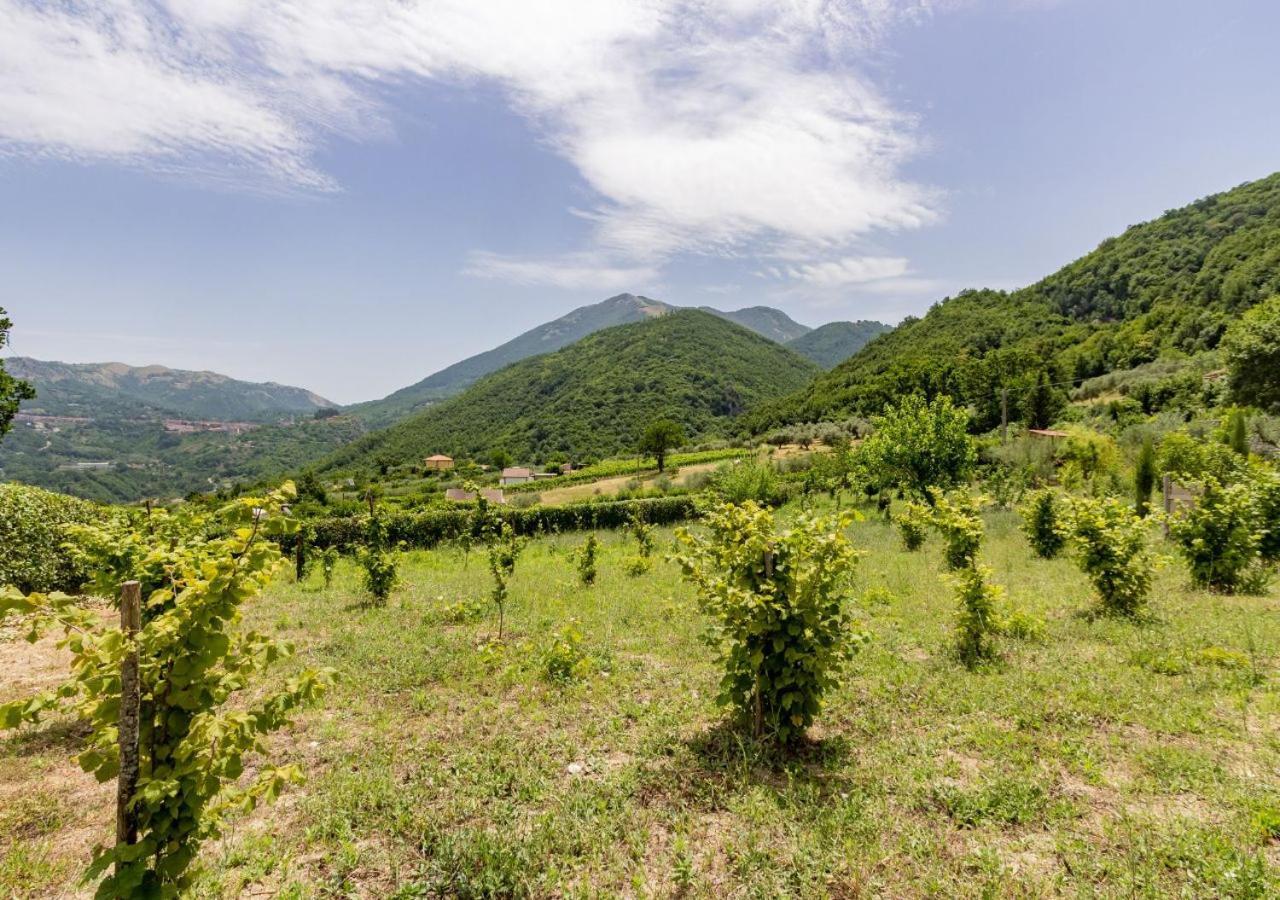 Agriturismo La Vammora Laviano Luaran gambar